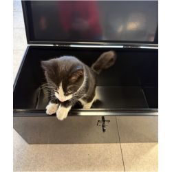 Kiste aus Metall 65 x 35 x...